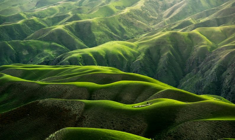Nature - bird's eye view photograph of green mountains