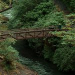 Outdoor Adventures - Bridge Over River in Forest