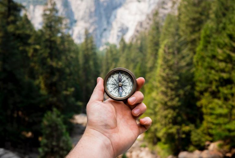 Travel Health - person holding compass facing towards green pine trees